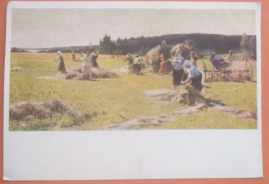 Подляский Ю. Клевер убирают. Соцреализм. 1953 г. Чистая.
