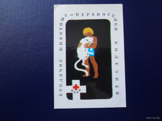 Календарик 1984 г.  Бродячие животные - переносчики болезней.