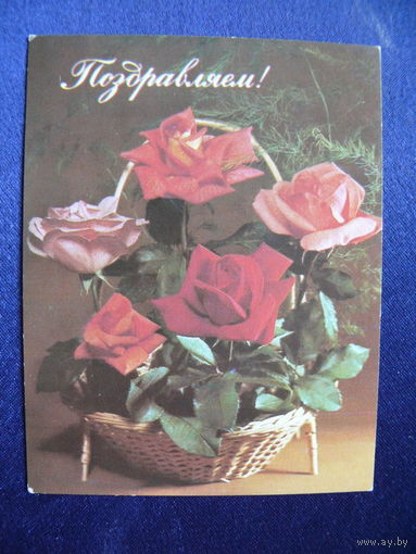 Фото Круцко Б., Поздравляем! 1984, мини-формат, чистая.