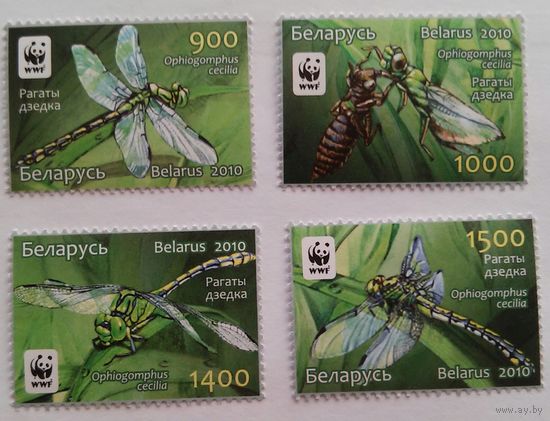 Беларусь 2010 Рагатый детка N 850-853