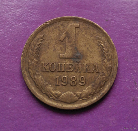1 копейка 1989 года СССР #07