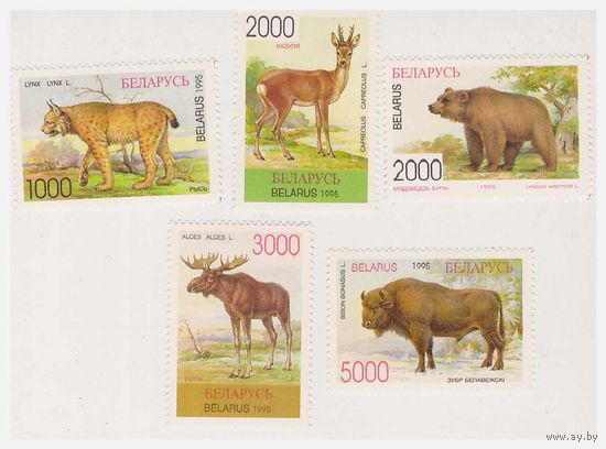 Фауна Беларуси 1995