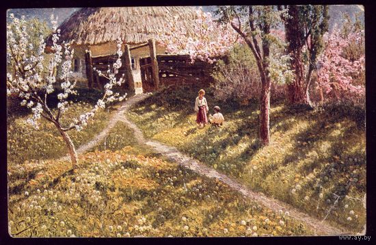 Н.Сергеев Украина