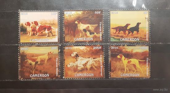Камерун. 2016 год. Фауна. Собаки (1189)