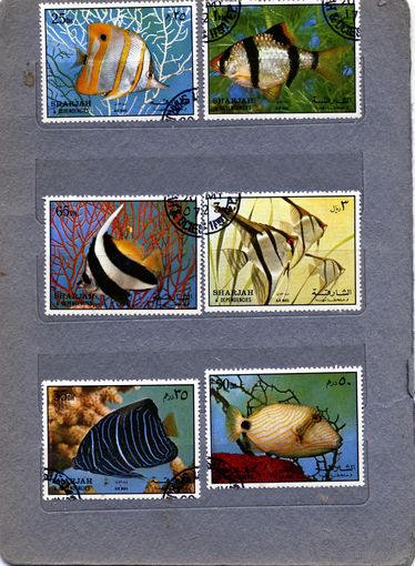 ШАРДЖА, 1972,  РЫБЫ серия 6м  гашен