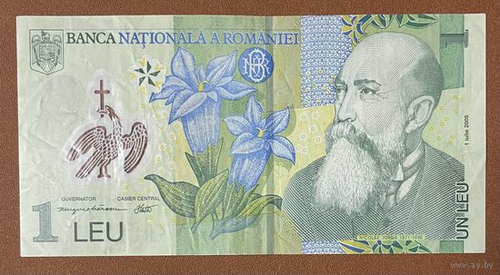 Полимерная банкнота Румыния 1 лей 2005 Монастырь Куртя-де-Арджеш