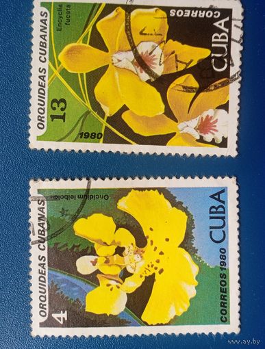 Куба орхидея 1980