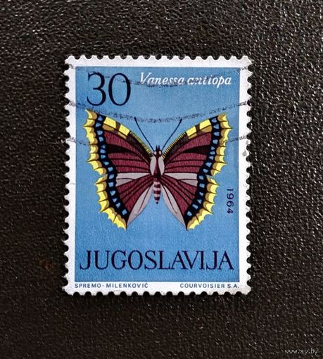 Марка Югославия 1964 год Бабочка