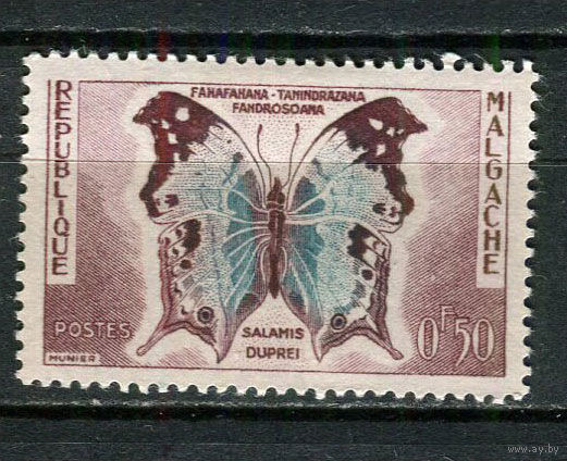 Французский протекторат  - Автономная Республика Мадагаскар - 1960 - Бабочка 50С - [Mi.447] - 1 марка. MH.  (Лот 68Fx)-T25P36