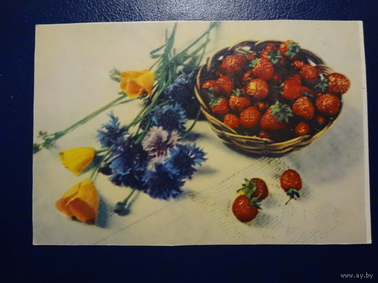 Цветы и земляника.  1961 г.