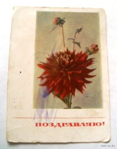 Открытка 1967 (72)