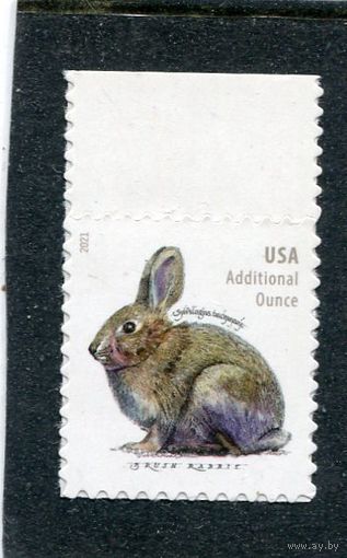 США. Стандарт. Фауна. Кролик