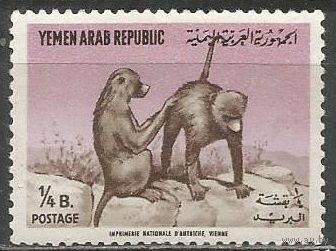 Йемен(Республика). Мартышки. 1964г. Mi#382.
