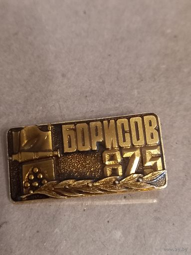 Значок Борисов