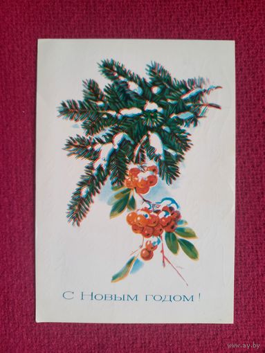 С Новым Годом! Куртенко 1981 г.