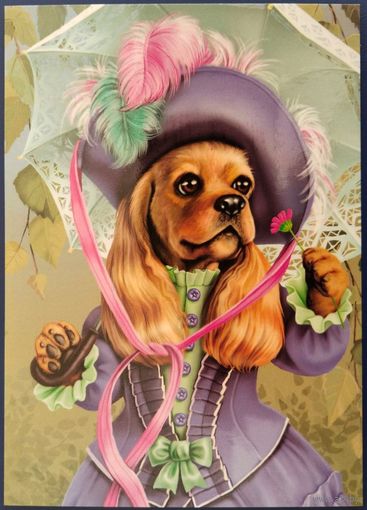 Барышня Кокер.Н.Бусарева. Россия.