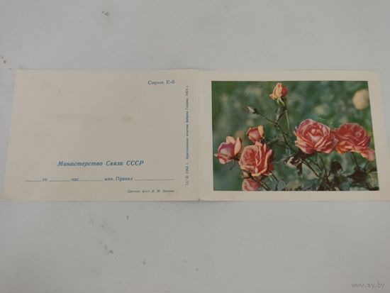 Открытка-телеграмма с фото Я. Басина, 1963г.