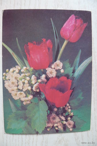 Дергилев И., Цветы, 1989,1990, чистая.