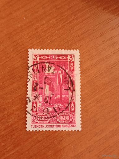 1936 французская колония Алжир флора архитектура (4-7)