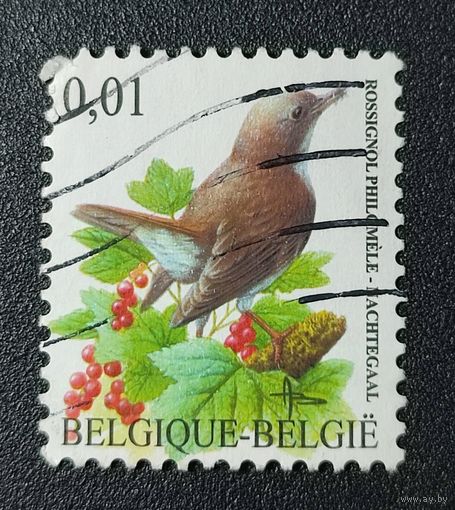Марка Бельгия Птицы 2004г. 2.2