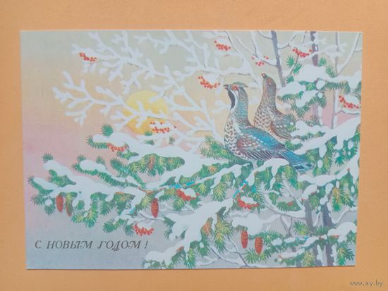 Открытка С Новым годом,Базаров,1989 чистая