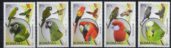 Румыния 2011. Фауна. Попугаи. 5 марок 6499