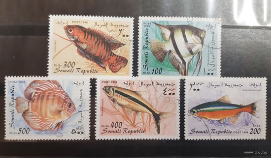Сомали. 1998 год. Фауна. Рыбы (53)
