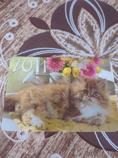 Календарик,коты,украина,2011