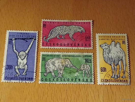 Чехословакия 1962 Фауна. Зоопарк. 4 марки