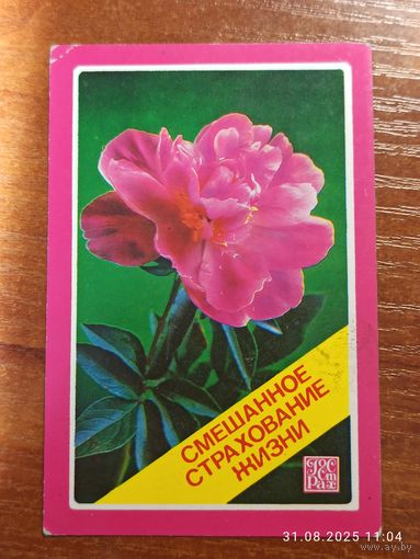 Календарик Страхование жизни 1984  Костенко