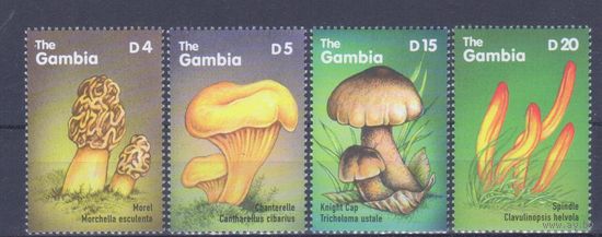 [1145] Гамбия 2000. Грибы. СЕРИЯ MNH