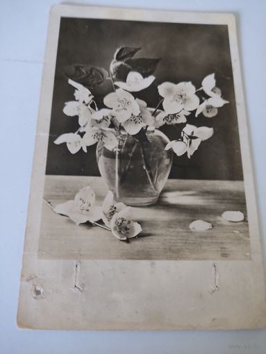 Открытка 1930-х годов