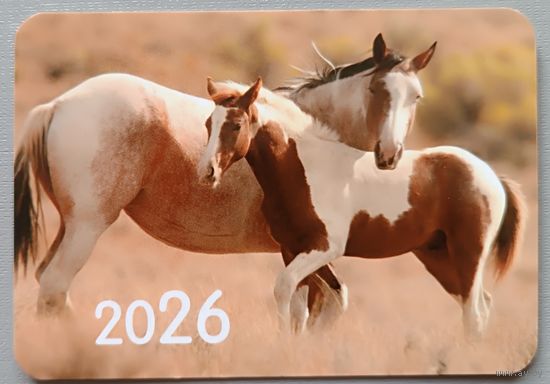 Лошадь. Календарик, глянец, 2026. Траско