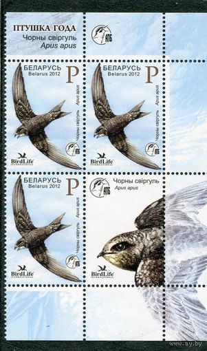 Беларусь 2012. Птица года. Черный стриж. Квартблок с купоном