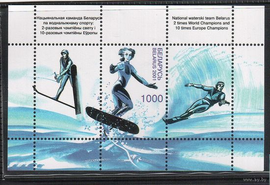 Беларусь-2001(Мих. Бл.25) , ** , Спорт,