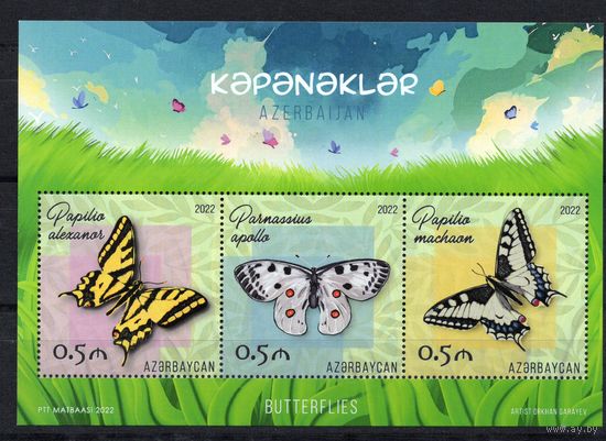 Азербайджан 2022. Бабочки блок  (899)