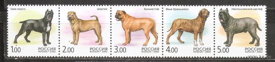ФФ1 Россия 2002 Собаки