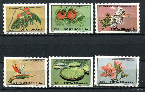 Румыния - 1995 - Цветы - [Mi. 5129-5134] - полная серия - 6 марок. MNH.  (Лот 99DZ)-T5P14