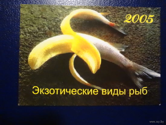 Календарик 2005 г. Экзотические виды рыб. Раковский Кирмаш.