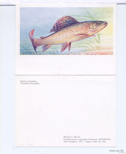 Открытка РБ,1997,  ХАРИУС
