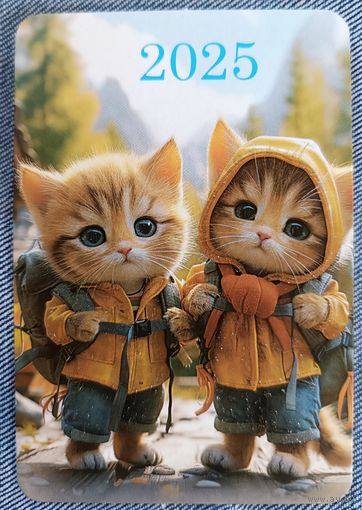 Поход. Котики. Календарик, 2025