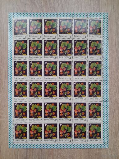 Лист 1982 г. Дикорастущие ягоды. Морошка 4 к.