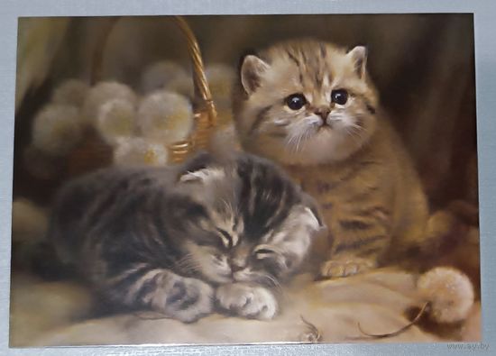 Одуванчики. Котята. Екатерина Калиновская. Авторская открытка, глянец