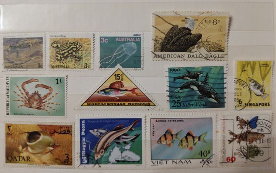 РАСПРОДАЖА КОЛЛЕКЦИИ.