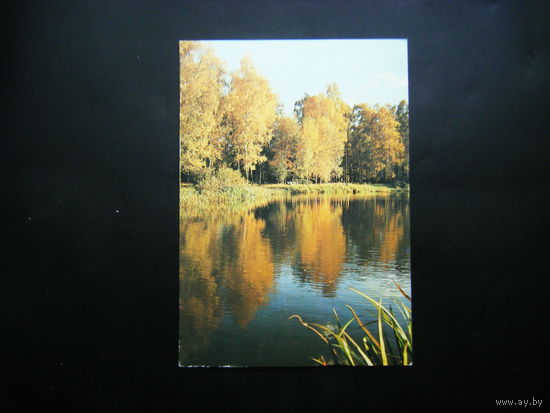 Открытка 1987г. из СССР.