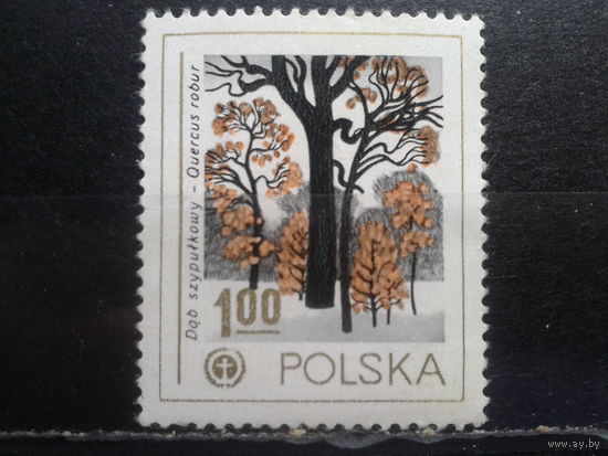 Польша, 1978, Дуб черешчатый