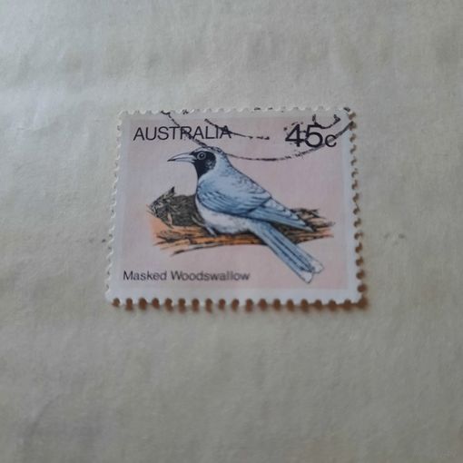 Австралия. Фауна. Птицы. Masked Woodswallow
