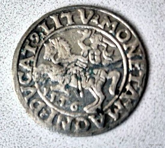 Полугрош 1556 г. Сигизмунд II Август.
