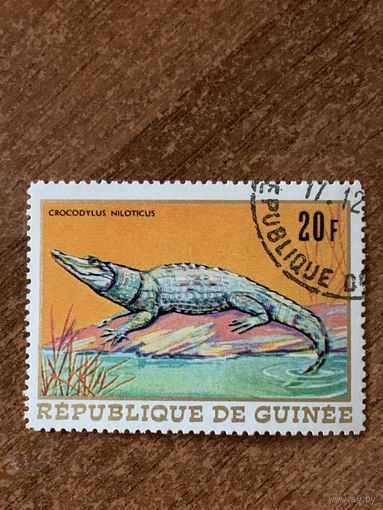Гвинея. Крокодилы. Crocodilus Niloticus. Марка из серии