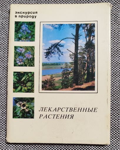 Набор открыток Экскурсия в природу. Лекарственные растения. 2